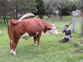 2015-02-02 1 Benson and Sophie (c) Jason Grossman.jpg